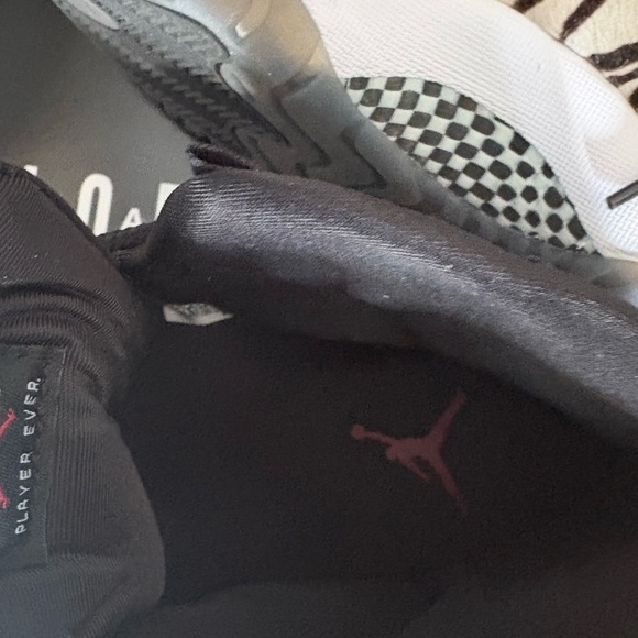 Jordan 11 Retro Animal Instinct size 10 zebra - Picture 2 of 9